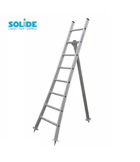 Solide Obstleiter 8 Sprossen - 225 cm