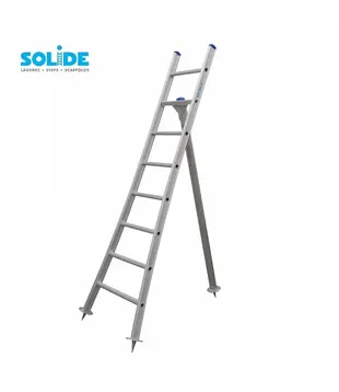 Solide Obstleiter 8 Sprossen - 225 cm