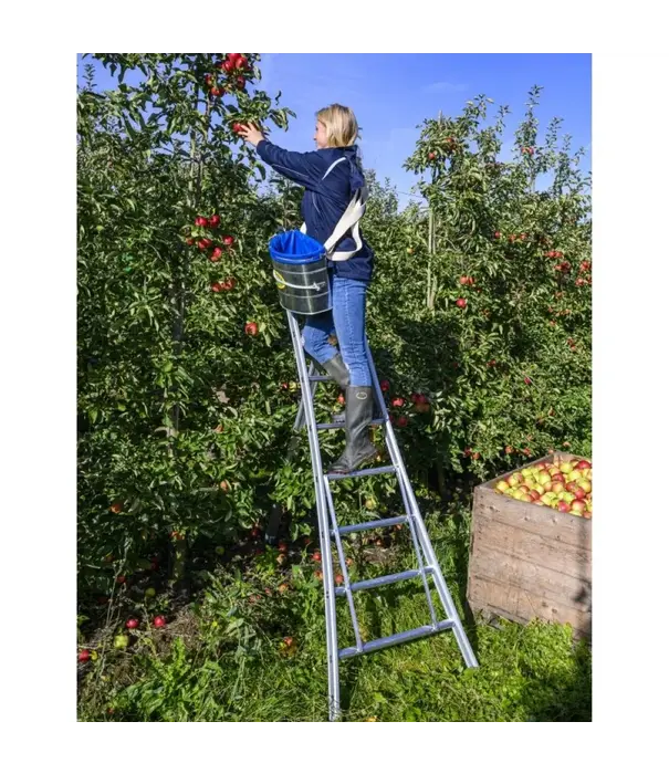 Solide Solide échelle à cueillir 10 échelons - 275 cm