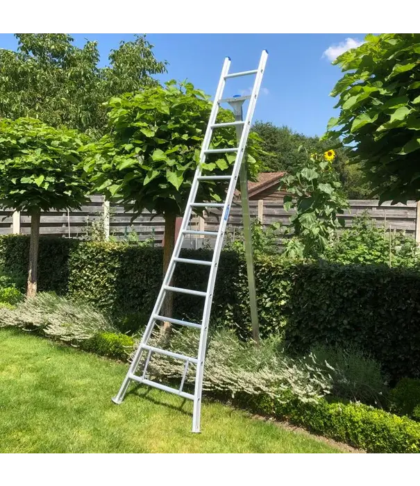 Solide Solide échelle à cueillir 10 échelons - 275 cm