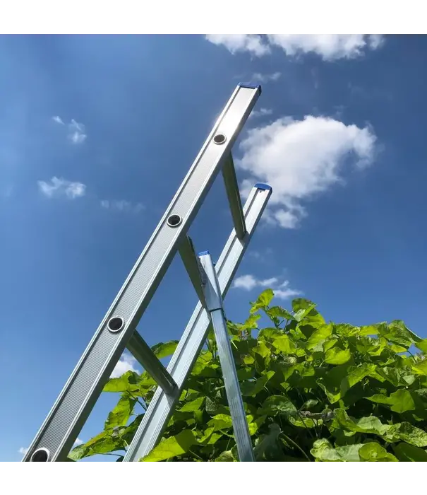 Solide Solide échelle à cueillir 10 échelons - 275 cm