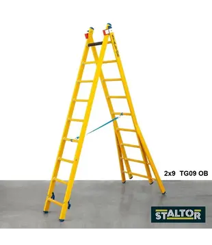 Staltor kunststof glasvezel ladder 2x9 sporten met opengaande bomen