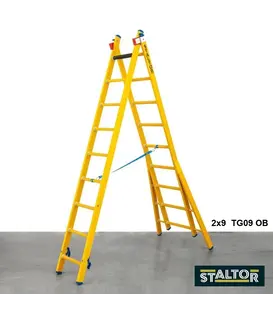 Staltor kunststof glasvezel ladder 2x14 sporten met opengaande bomen