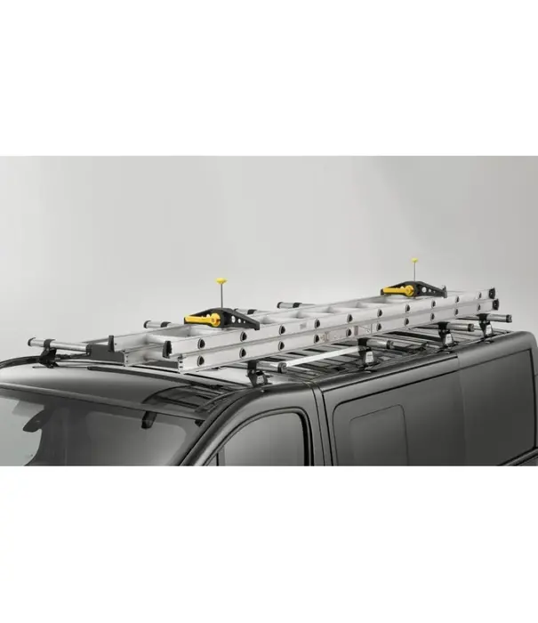 Rhino Products Safeclamp fixe échelle Rhino (2 pièces)