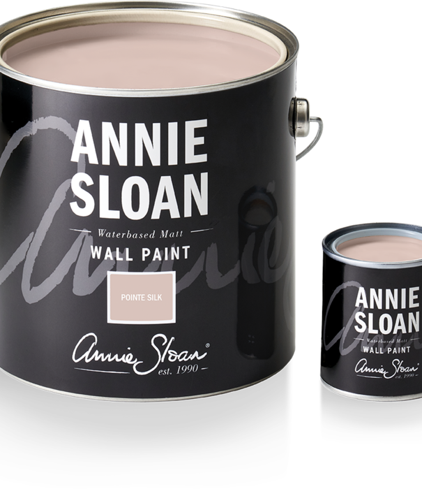 Annie Sloan Pointe Silk Wall Paint