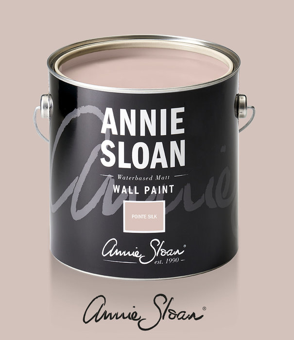 Annie Sloan Pointe Silk Wall Paint