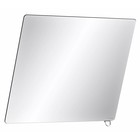 DELABIE Tilting mirror with short handle glossy chrome from Delabie