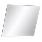 DELABIE Kantelbare spiegel met korte greep wit nylon van Delabie
