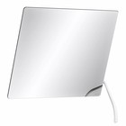 DELABIE Tilting mirror with long handle white nylon from Delabie