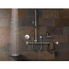 Shower handle with shower rod