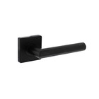 Intersteel Door handle Bastian on rosette in matt black - Intersteel