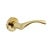 Intersteel Door handle Butterfly on rosette in brass lacquered - Intersteel