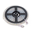 PURPL LED Strip 5m 60 LED'er p/m 24V 4000K lys hvid Single Strip IP68