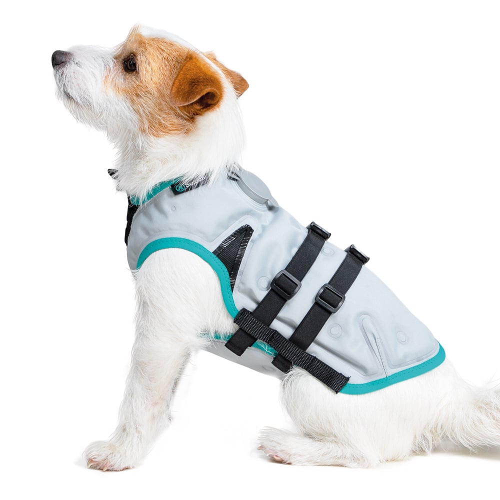 Suitical DRY Cooling Vest - Dog