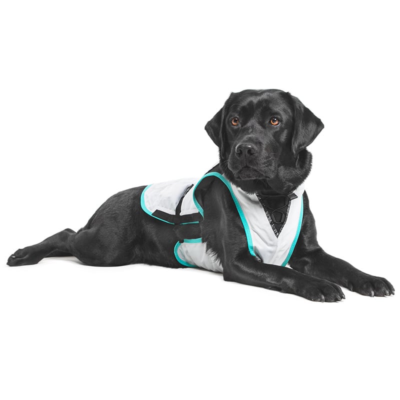 Suitical DRY Cooling Vest - Dog