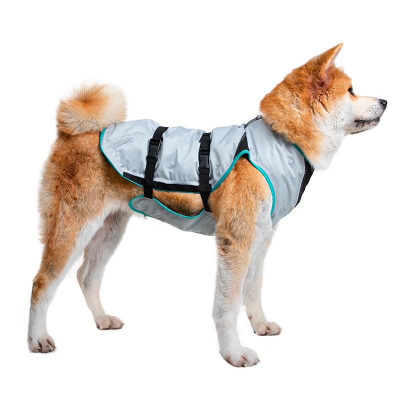 Suitical DRY Cooling Vest - Dog