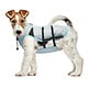 Suitical DRY Cooling Vest - Hond