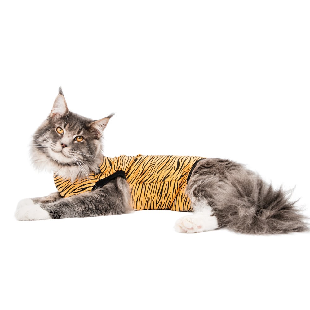 Suitical Recovery Suit - Cat