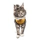 Suitical Recovery Suit - Cat