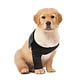 Suitical Recovery Sleeve - Dog