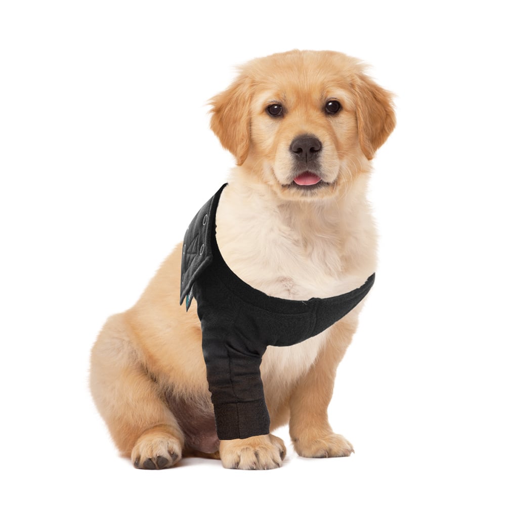 Suitical Recovery Sleeve - Chien