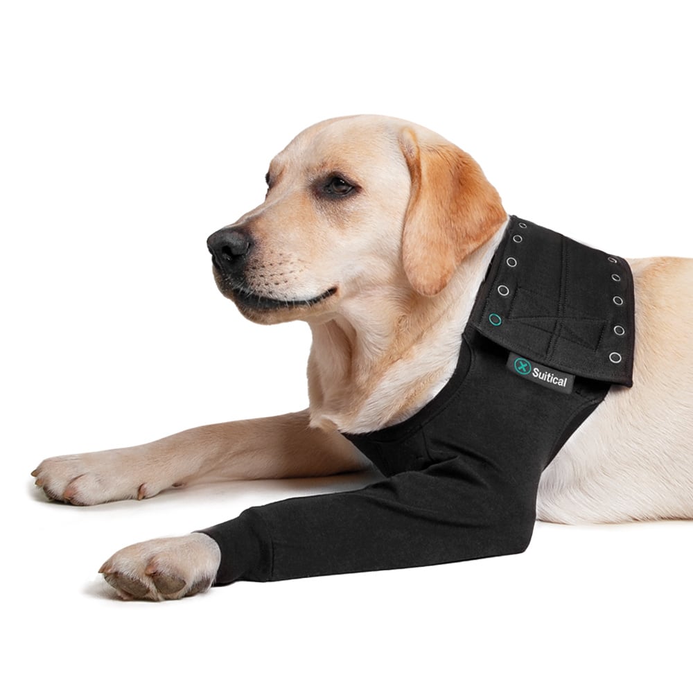 Suitical Recovery Sleeve - Dog