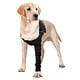 Suitical Recovery Sleeve - Chien