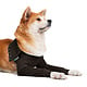 Suitical Recovery Double Sleeves - Chien