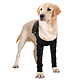 Suitical Recovery Double Sleeves - Hond