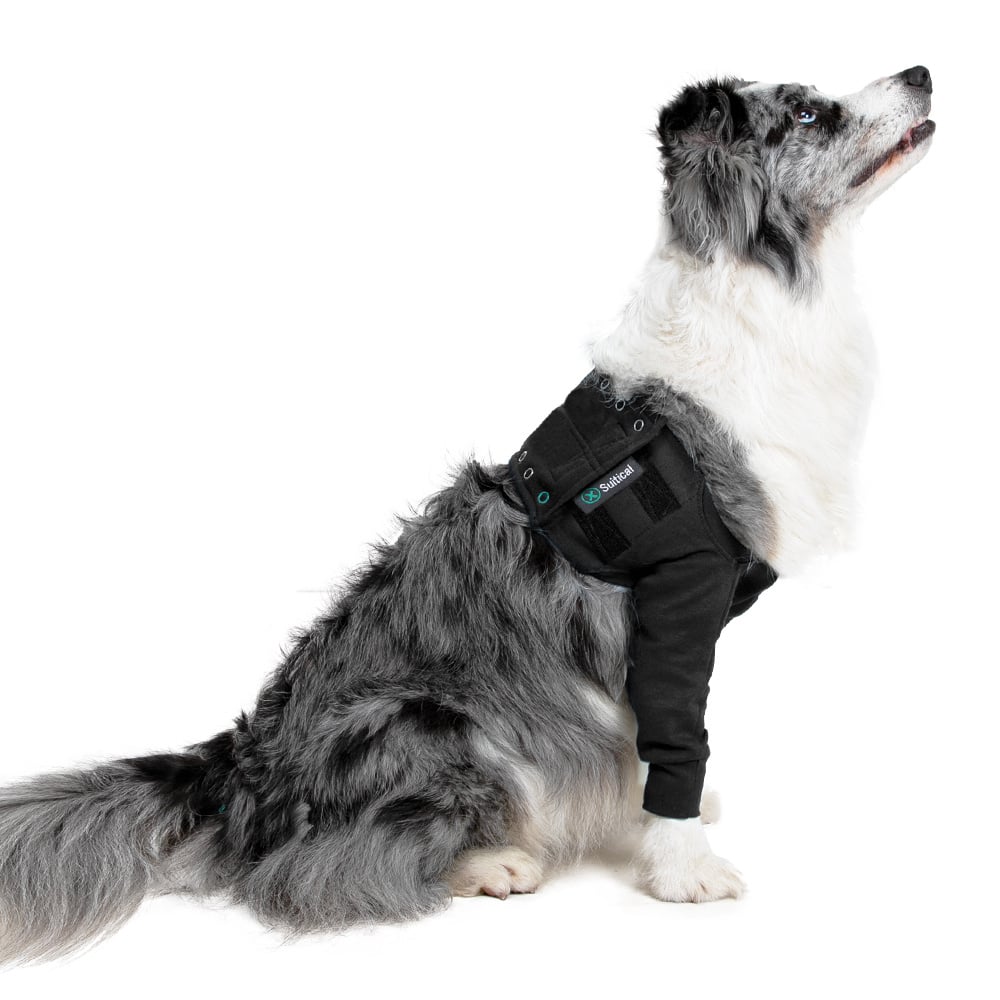 Suitical Recovery Double Sleeves - Dog