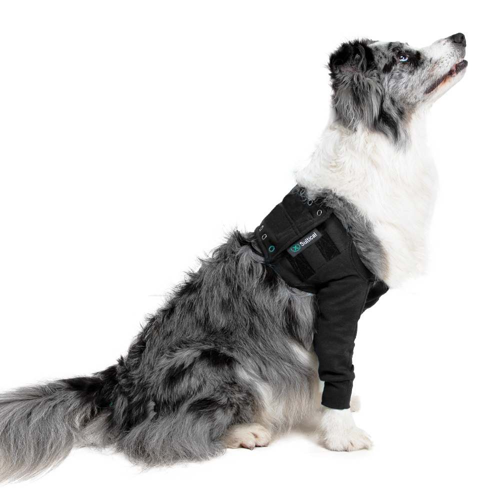 Suitical Recovery Double Sleeves - Hond