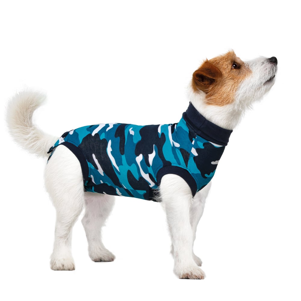 Suitical Recovery Suit - Dog