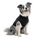 Suitical Recovery Suit - Hond