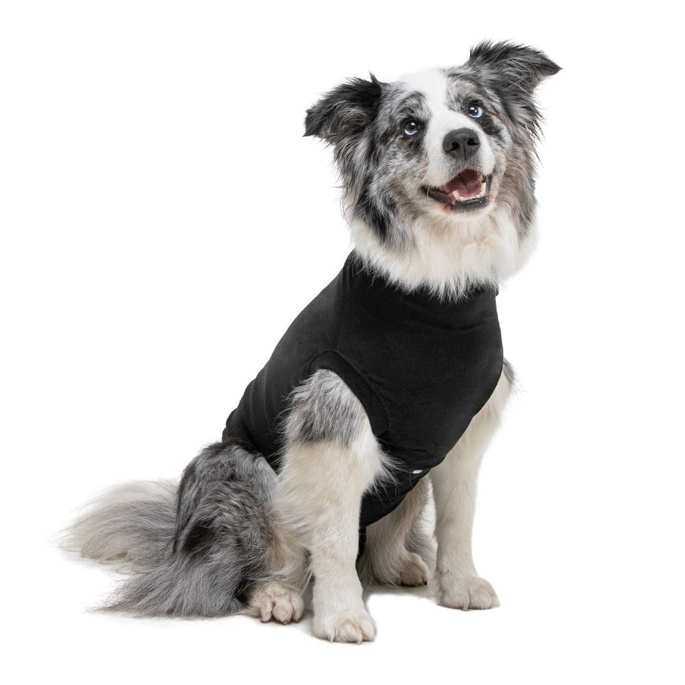 Suitical Recovery Suit - Dog