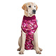 Suitical Recovery Suit - Chien