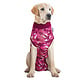 Suitical Recovery Suit - Dog