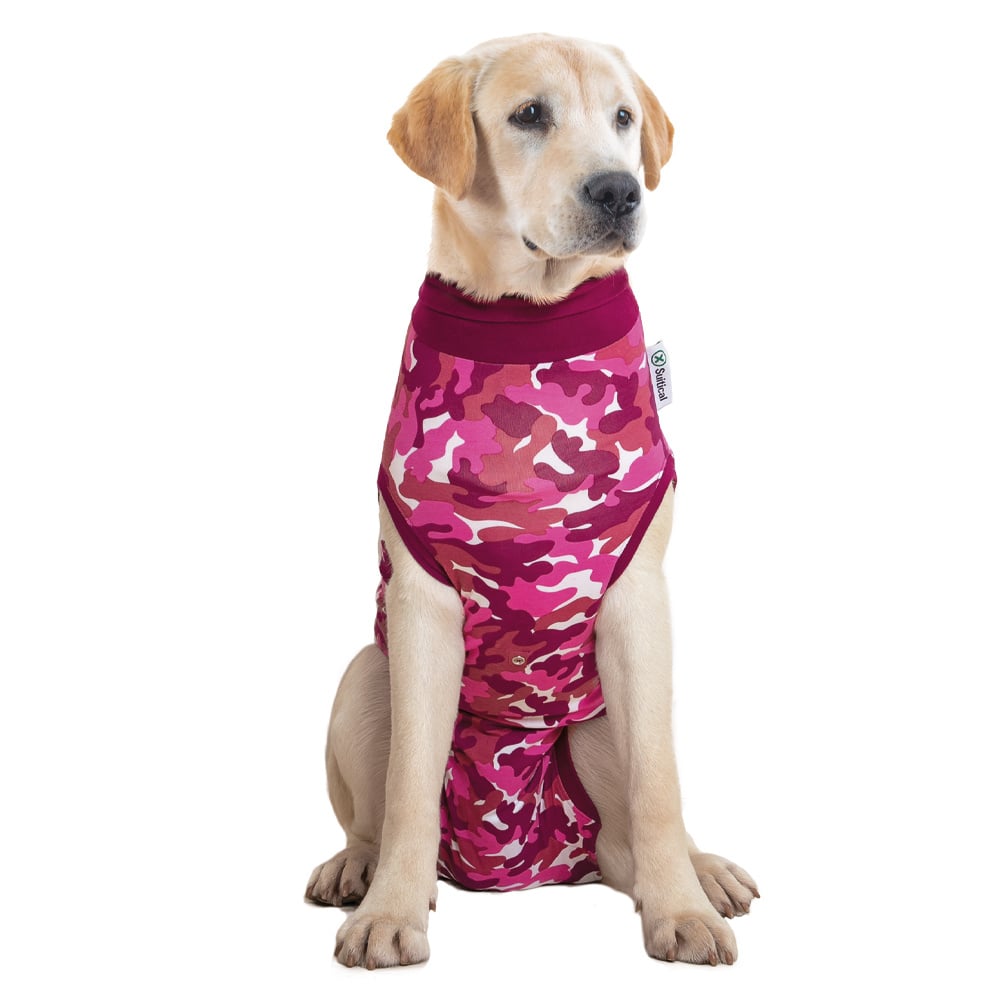 Suitical Recovery Suit - Dog