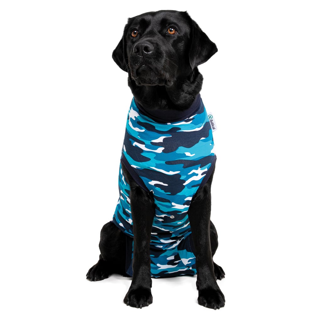 Suitical Recovery Suit - Dog