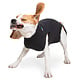 Suitical Recovery Suit - Dog