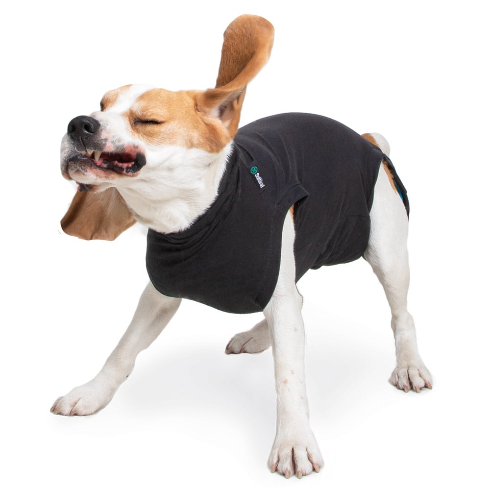 Suitical Recovery Suit - Dog