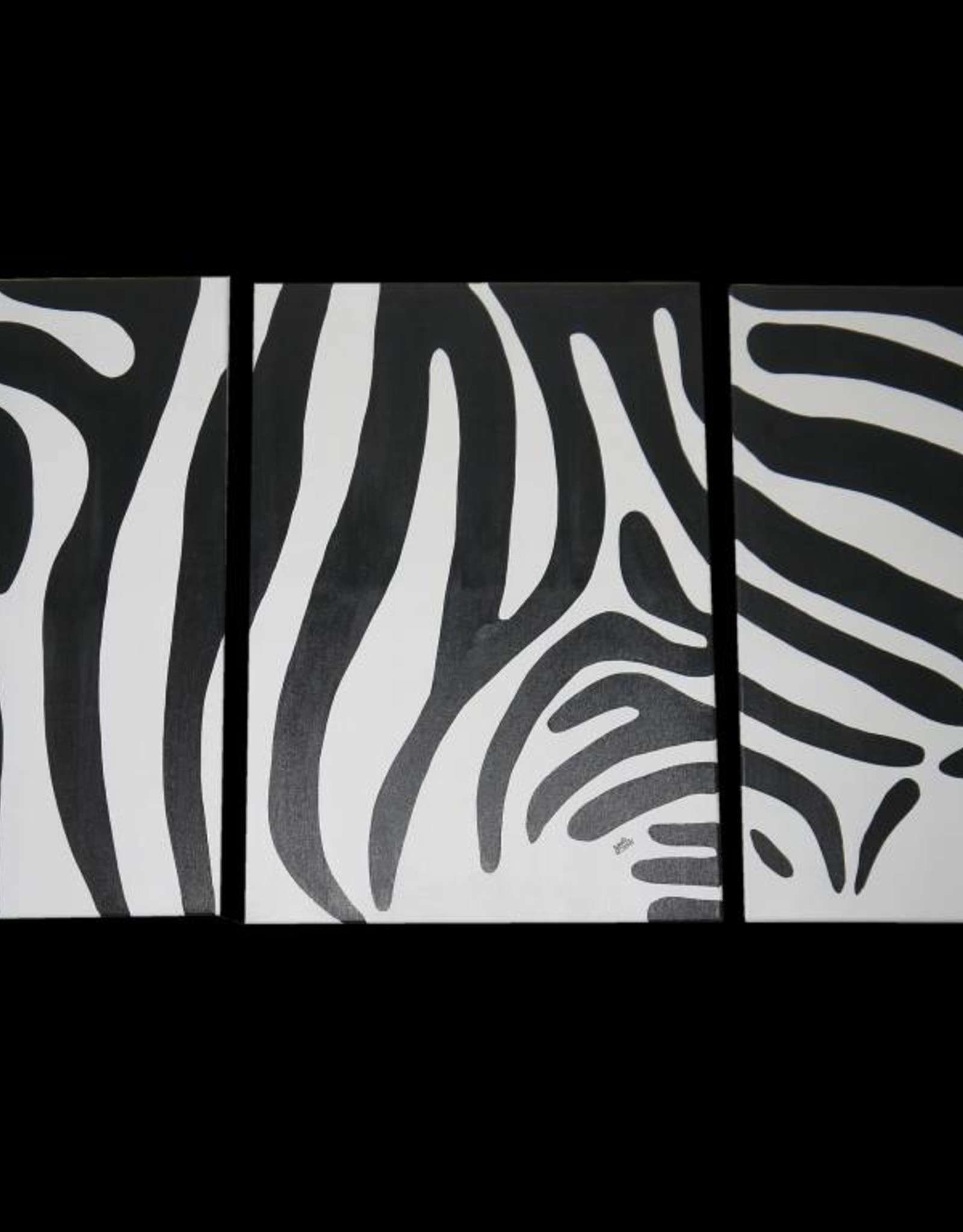 Zebra Bild Stripes