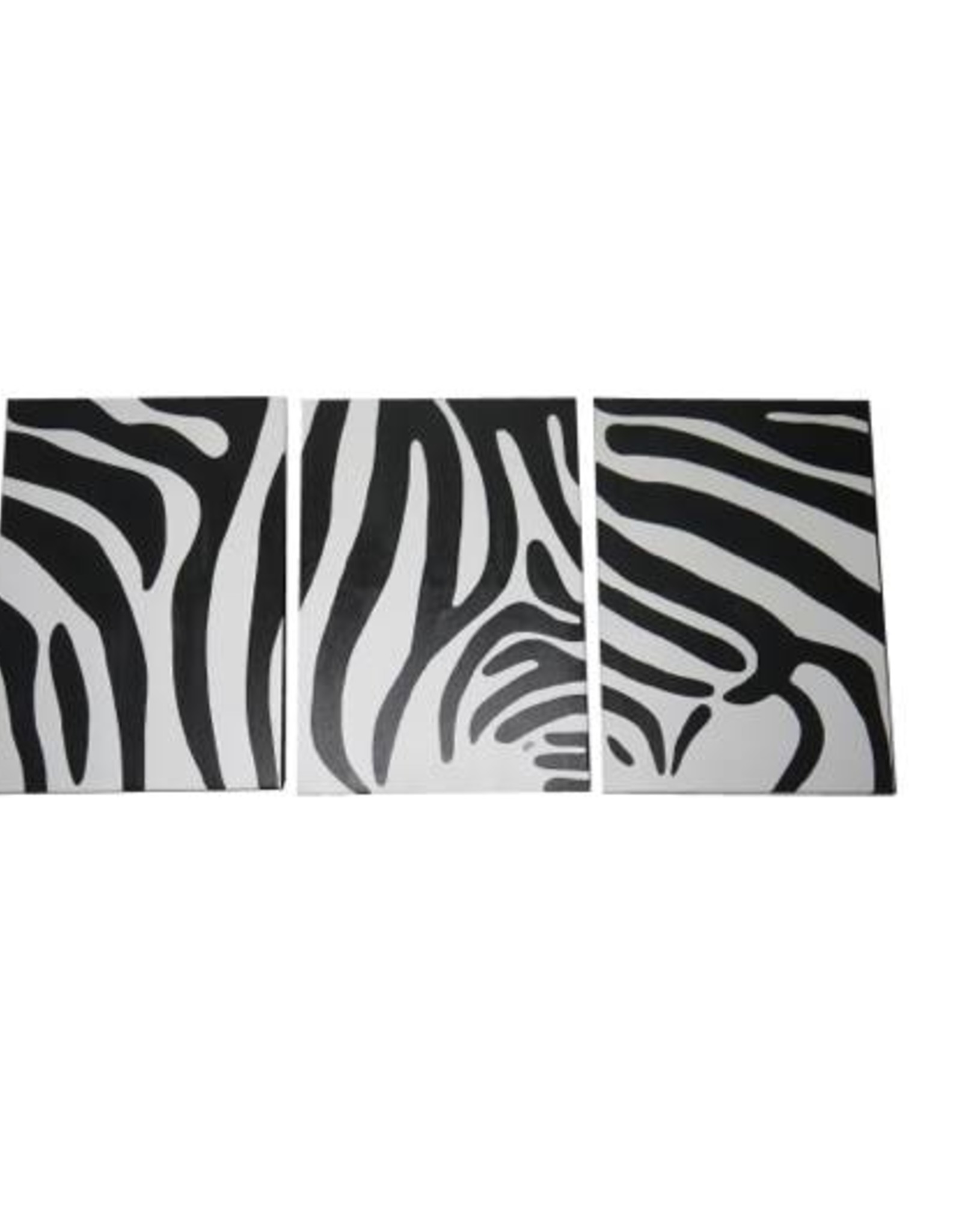 Zebra Bild Stripes