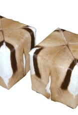 Springbok stool CUBE2