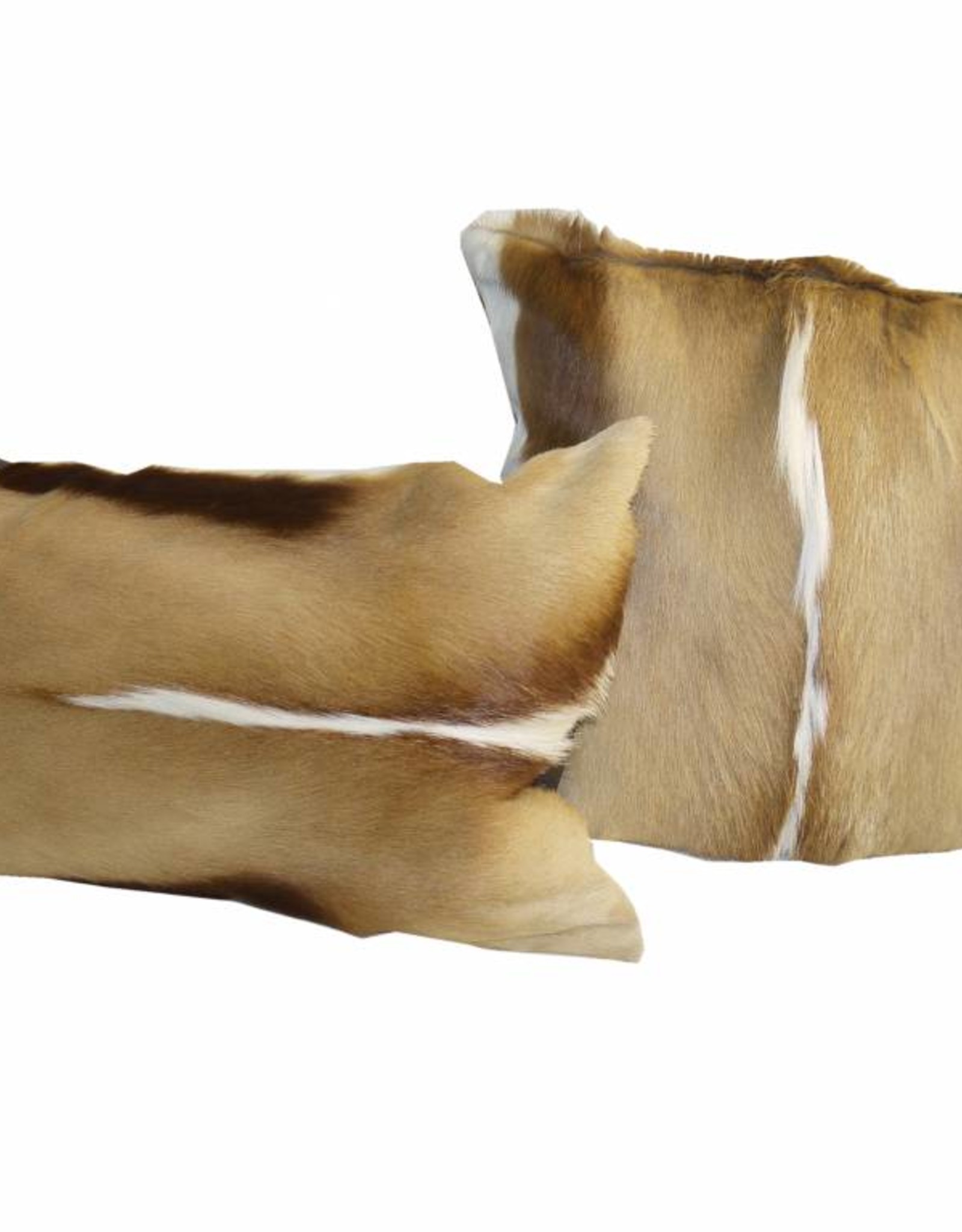 Springbok fur cushion nature