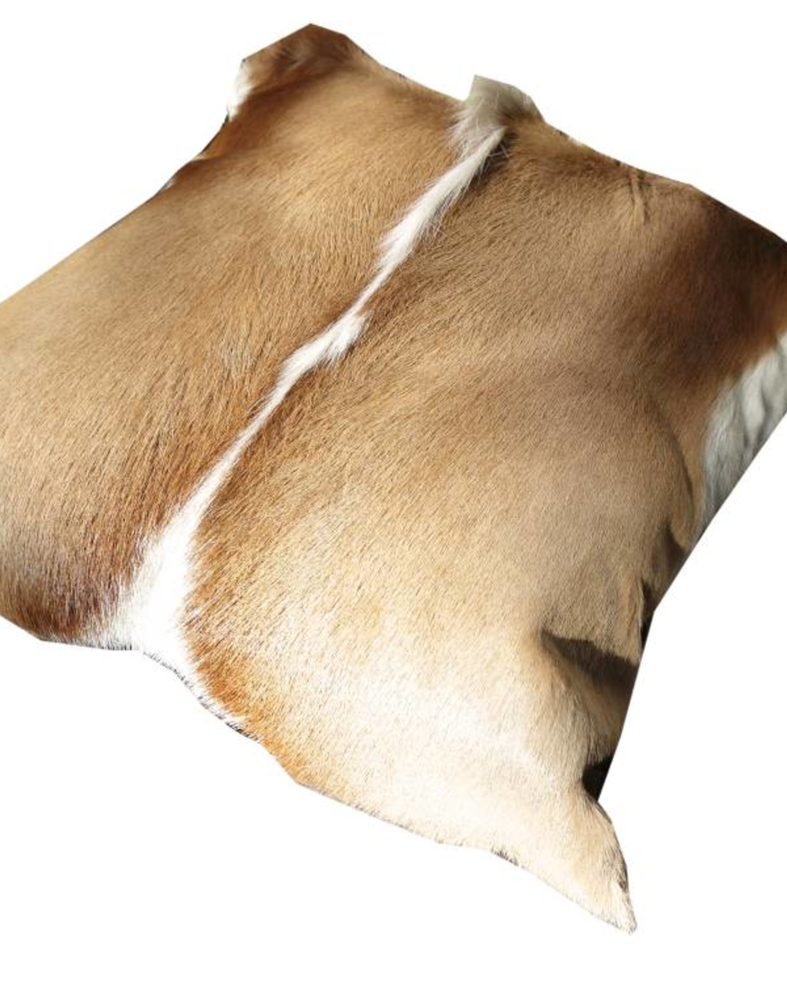 Springbok fur cushion nature