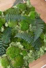 Moss Coffee Table GREEN CUBE with real preserved plants