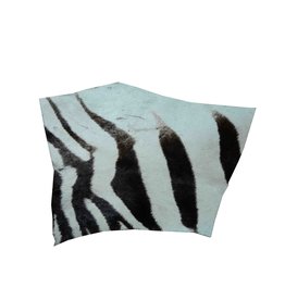 Zebra Fur Remnant R016