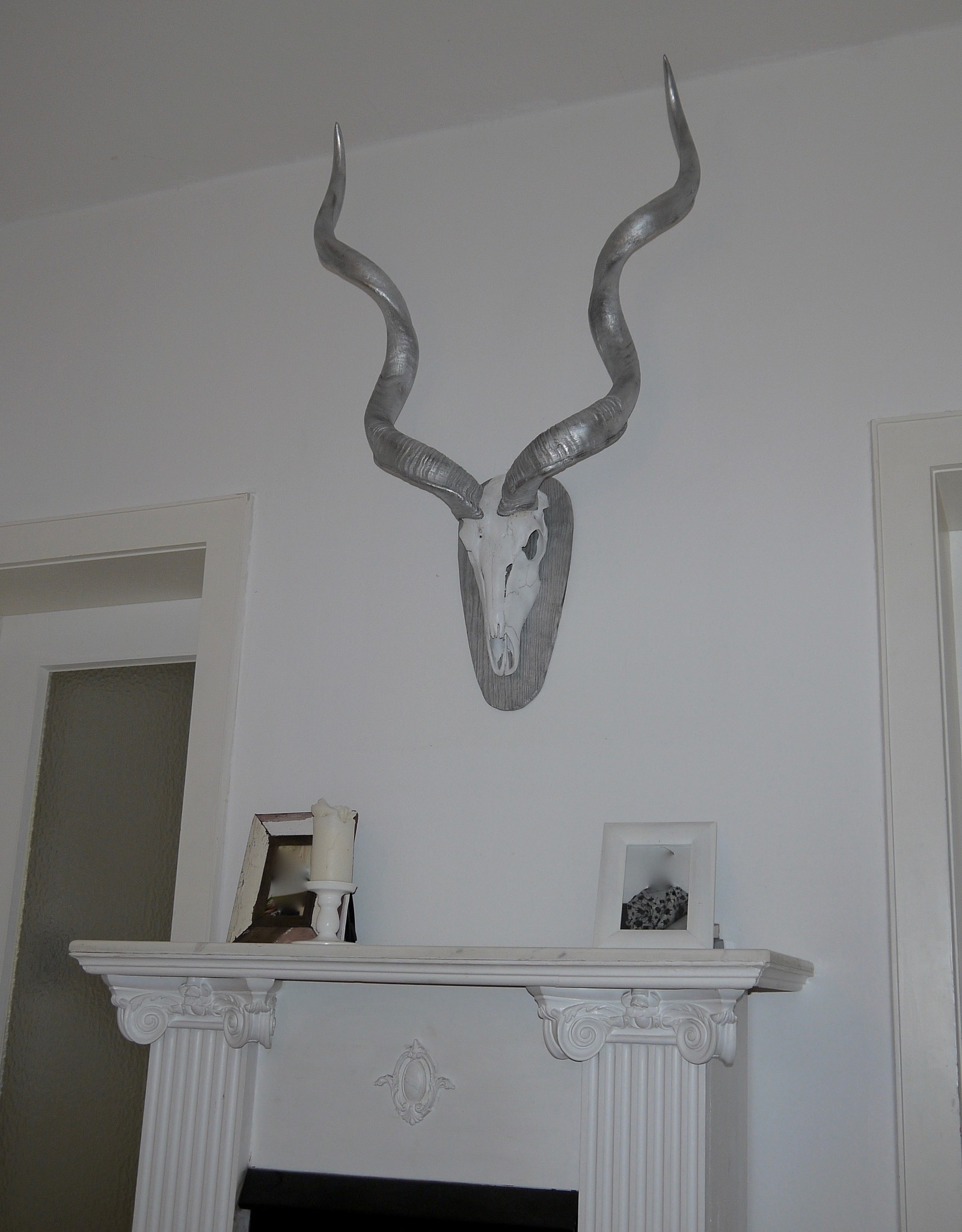 Kudu horns in silver, very large