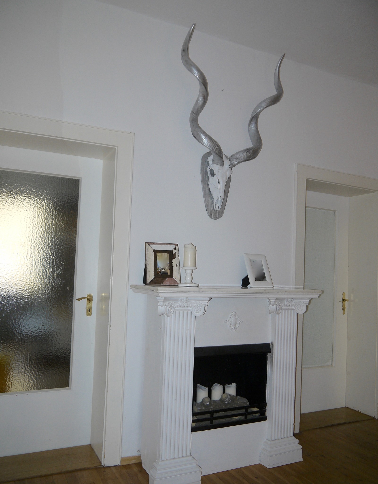 Kudu horns in silver, very large