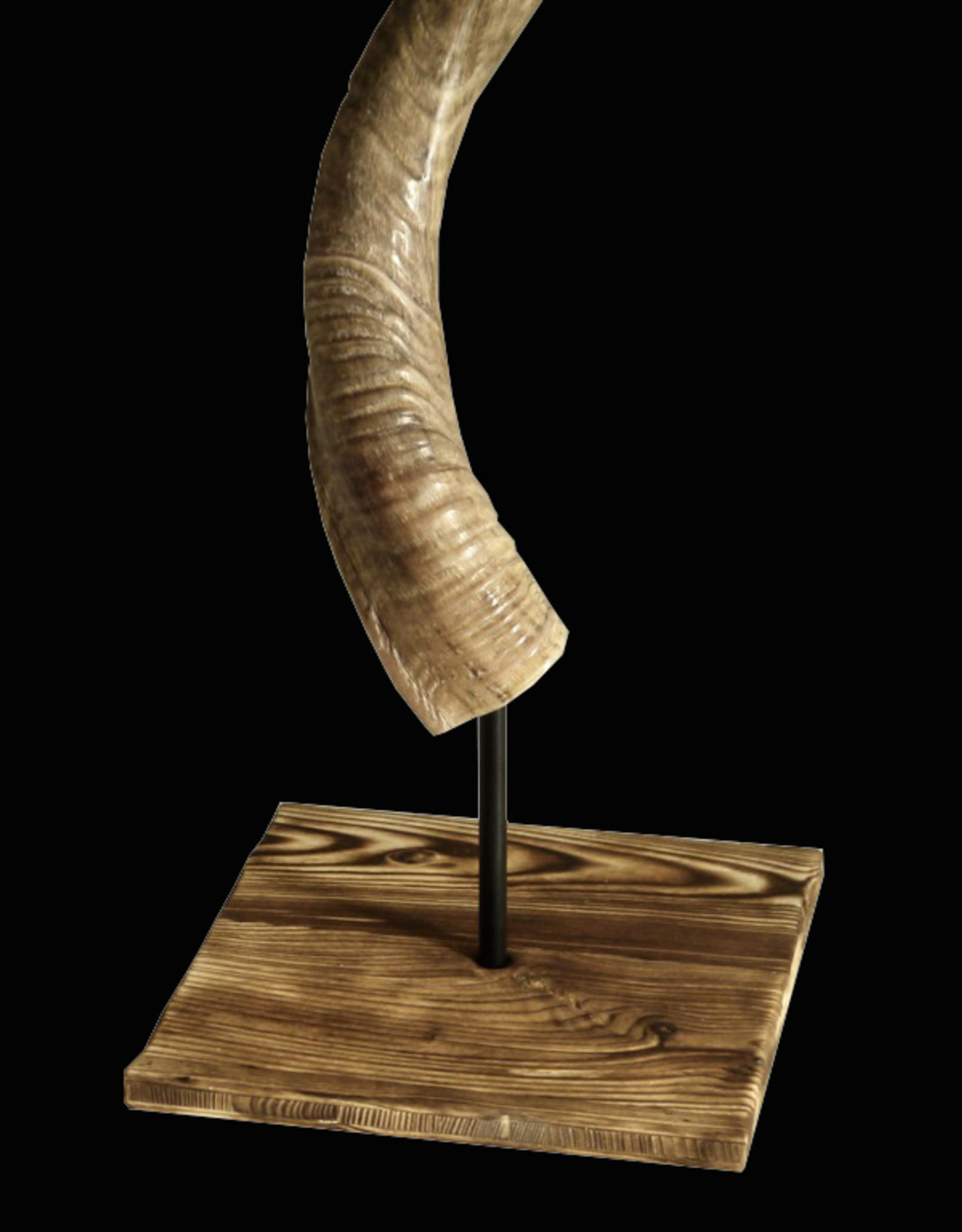 Kudo horn with special stand from flamed wood